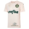 Officiële Voetbalshirt Palmeiras Derde 2021-22 - Heren